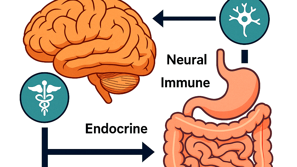 Gut–Brain Axis – Clinical Relevance in Psychiatry & Neurology